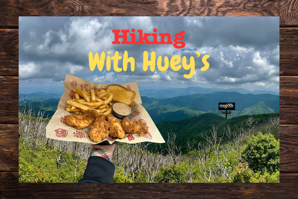 Hiking with Huey’s: A Perfect Day in Asheville